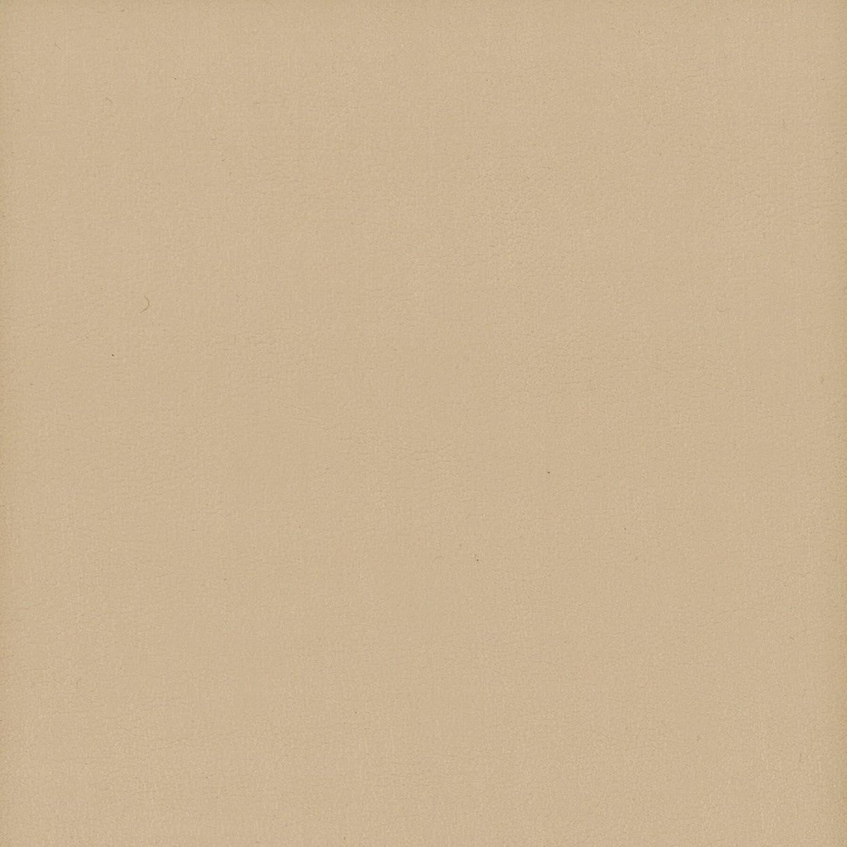 Stout ELBERT BISCUIT Fabric