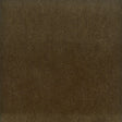 Stout MOORE TWIG Fabric