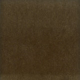 Stout MOORE TWIG Fabric