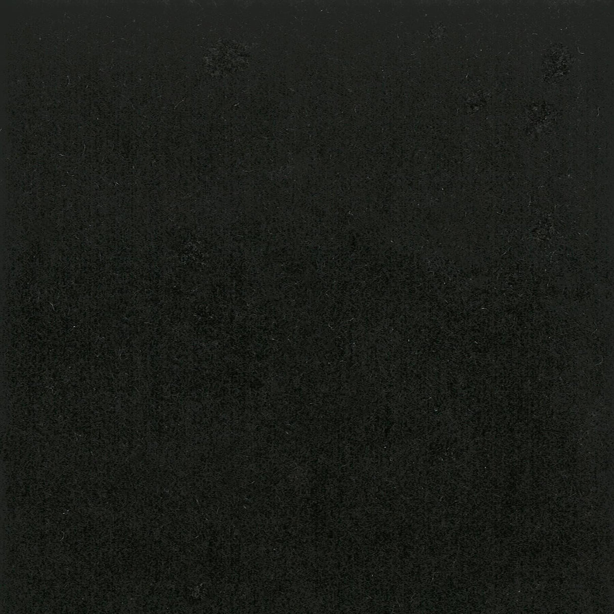 Stout MOORE RAVEN Fabric