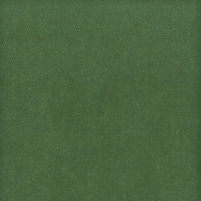 Stout MOORE BOTTLE Fabric