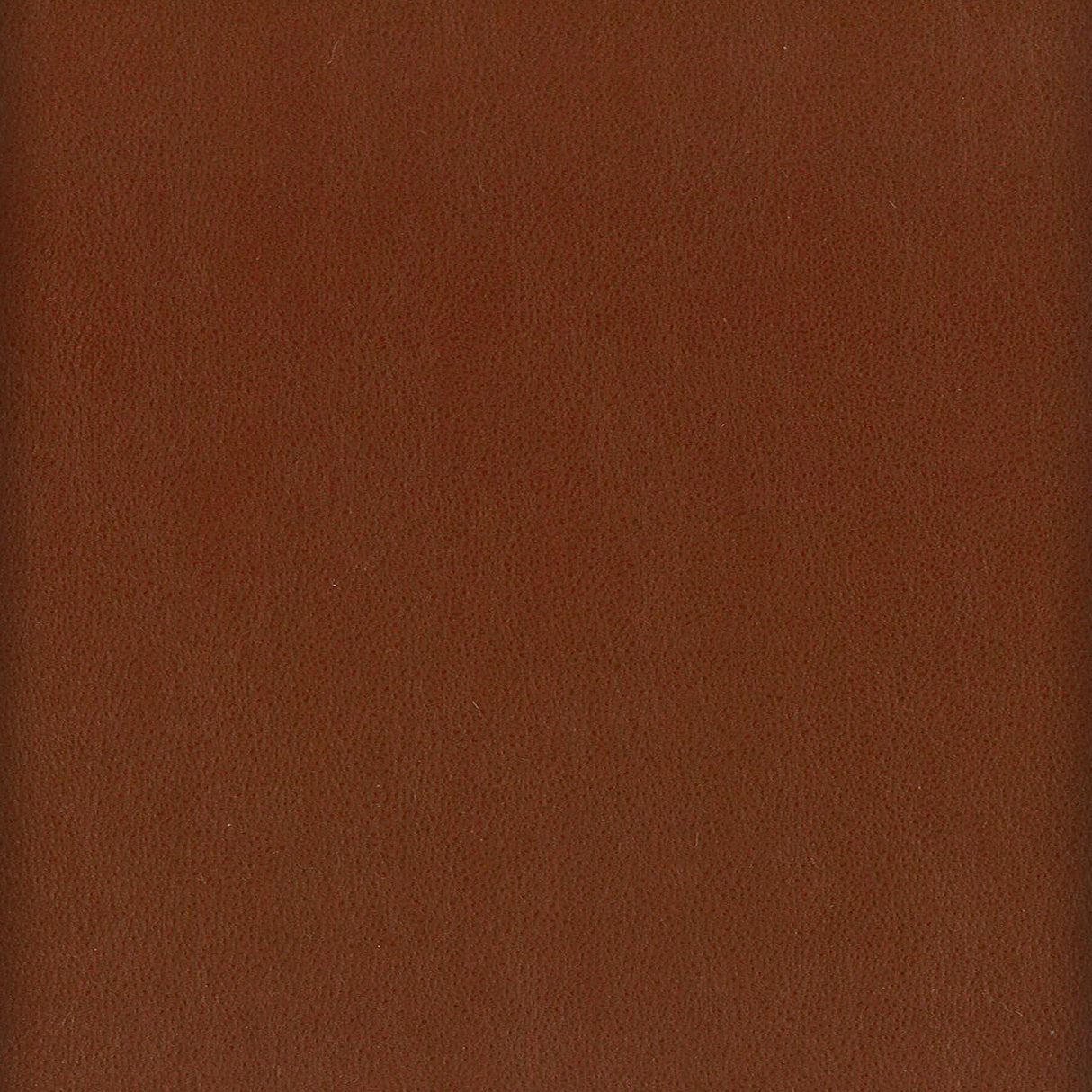 Stout ELBERT NUTMEG Fabric