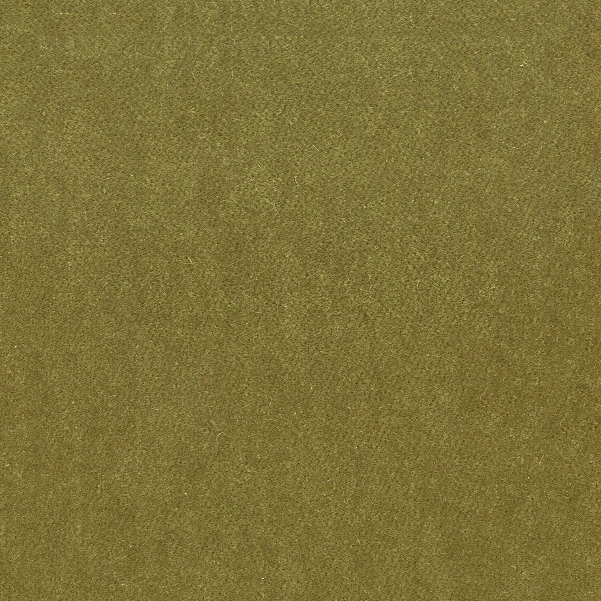 Stout MOORE CHIVE Fabric