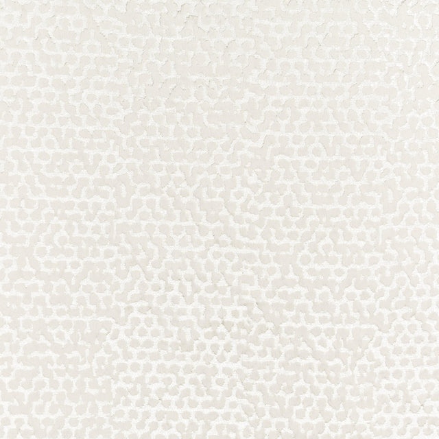 Stout WASOLA PARCHMENT Fabric