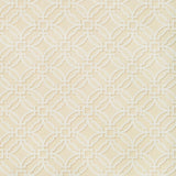 Brunschwig & Fils SALVY PRINT BEIGE Fabric