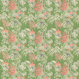 Brunschwig & Fils TONGLI PRINT FERN Fabric
