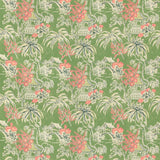 Brunschwig & Fils TONGLI PRINT FERN Fabric