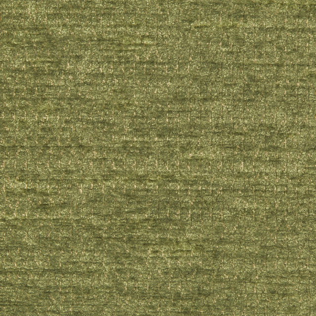Brunschwig & Fils CASSIEN TEXTURE AVOCADO Upholstery Fabric
