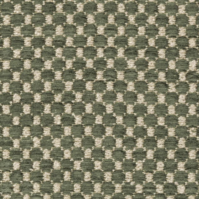 Brunschwig & Fils ECRINS TEXTURE AVOCADO Upholstery Fabric