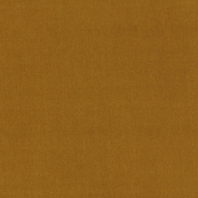 Lizzo ETERNAL 05 Upholstery Fabric