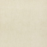 Lizzo ETERNAL 07 Upholstery Fabric