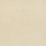 Lizzo ETERNAL 17 Upholstery Fabric