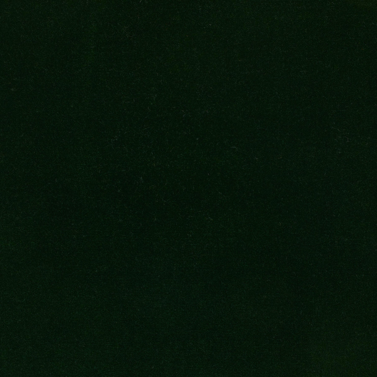 Lizzo ETERNAL 23 Upholstery Fabric