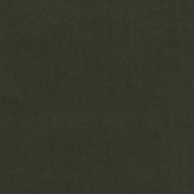 Lizzo ETERNAL 29 Upholstery Fabric