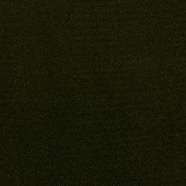 Lizzo ETERNAL 33 Upholstery Fabric