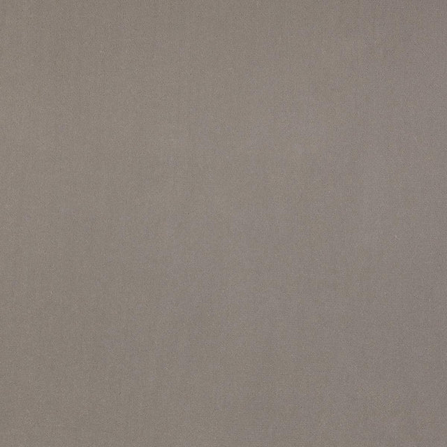 Lizzo GURU 29 Upholstery Fabric