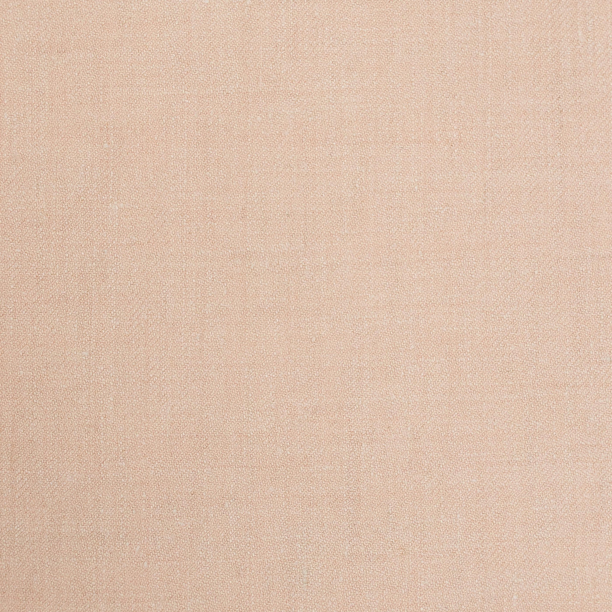 Lizzo ALBERT 02 Fabric