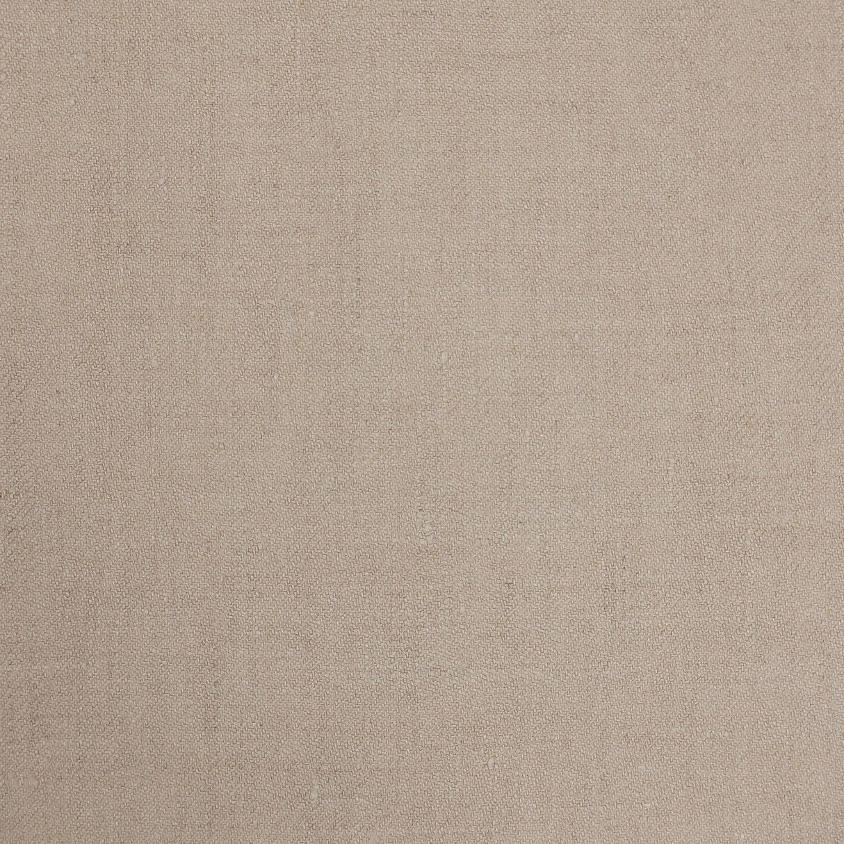 Lizzo ALBERT 06 Fabric