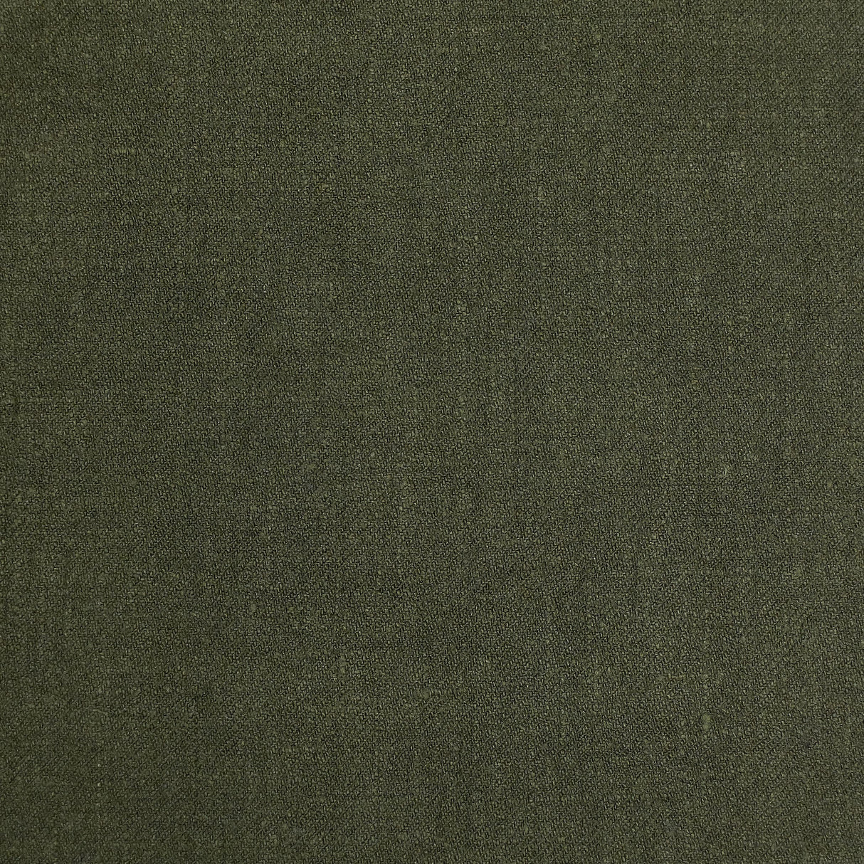 Lizzo ALBERT 13 Fabric