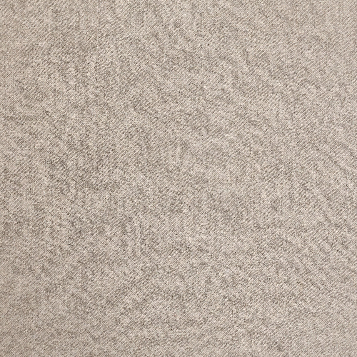 Lizzo ALBERT 16 Fabric