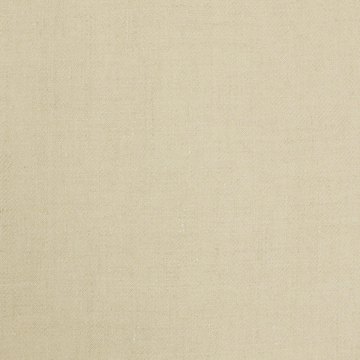 Lizzo ALBERT 17 Fabric