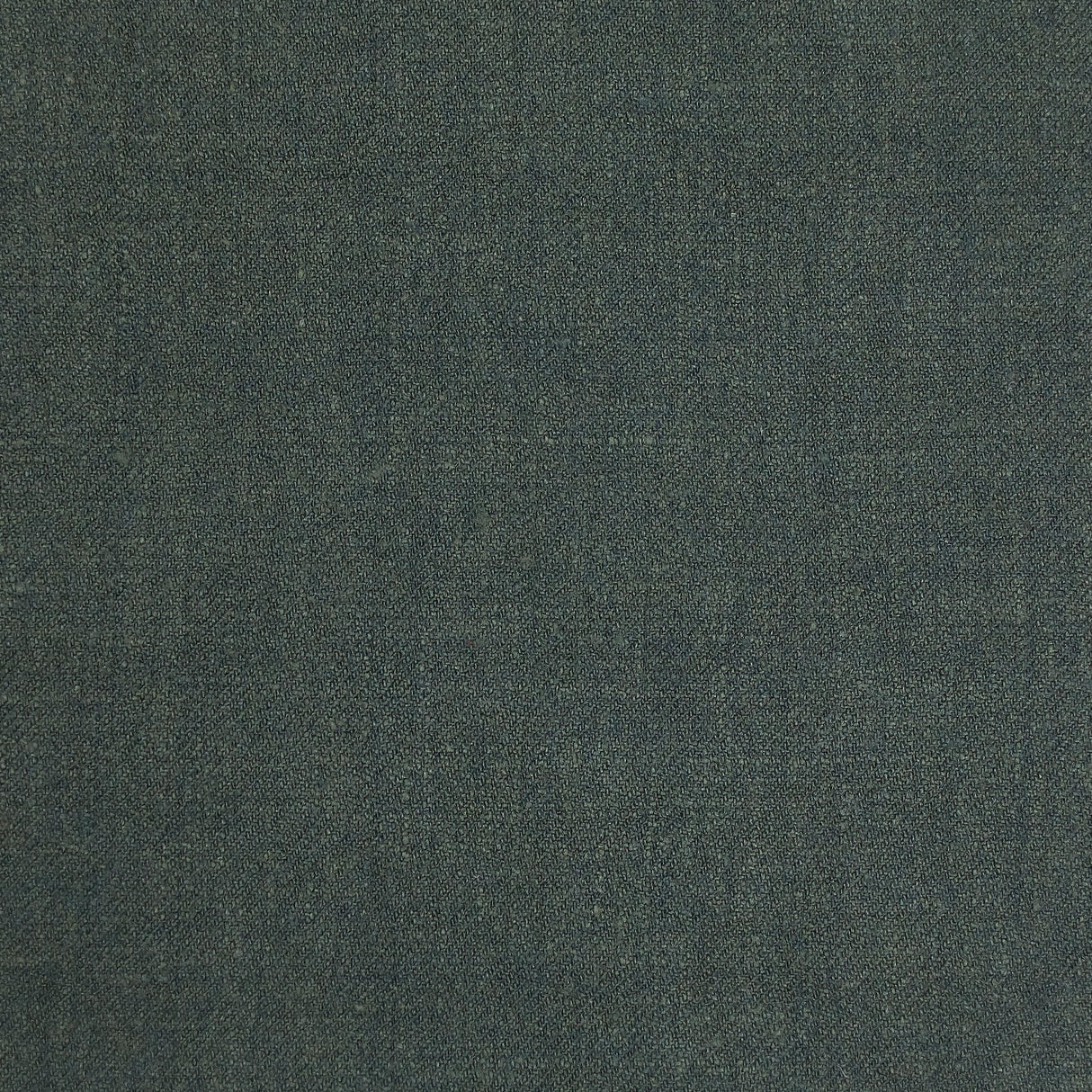 Lizzo ALBERT 23 Fabric