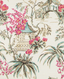 Brunschwig & Fils TONGLI PEONY Wallpaper
