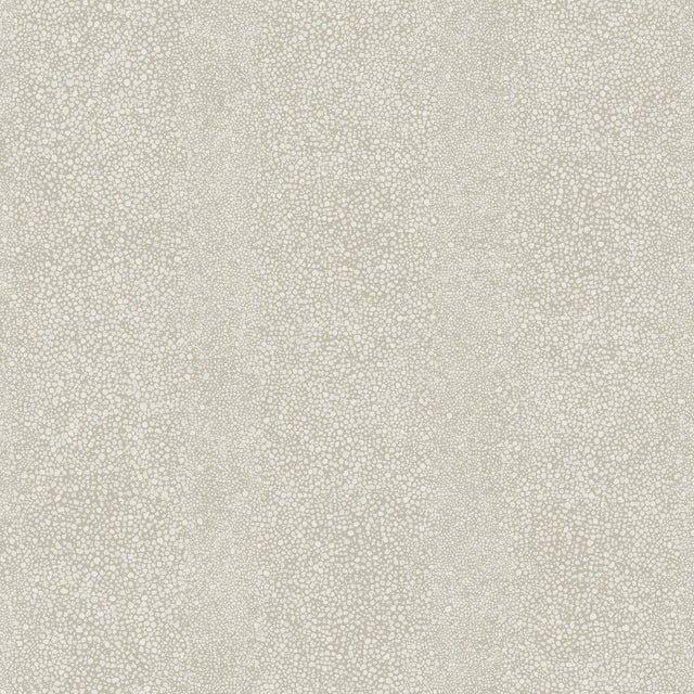 Winfield Thybony RAY SUN LIGHT Wallpaper