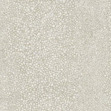 Winfield Thybony RAY SUN LIGHT Wallpaper