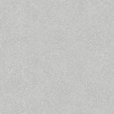 Winfield Thybony RAY COASTAL FOG Wallpaper