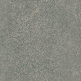 Winfield Thybony RAY DUSK Wallpaper