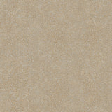 Winfield Thybony RAY SUNSET Wallpaper