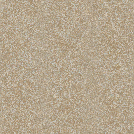 Winfield Thybony RAY SUNSET Wallpaper