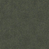 Winfield Thybony RAY NIGHT SEA Wallpaper