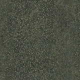 Winfield Thybony RAY NIGHT SEA Wallpaper