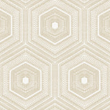 Winfield Thybony CONCENTRIC GROOVE CHAMPAGNE Wallpaper