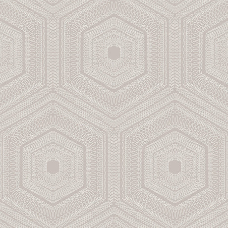 Winfield Thybony CONCENTRIC GROOVE BUFF Wallpaper