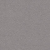 Winfield Thybony INTERLOCK PATH Wallpaper