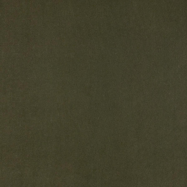 Lizzo GURU 13 Upholstery Fabric