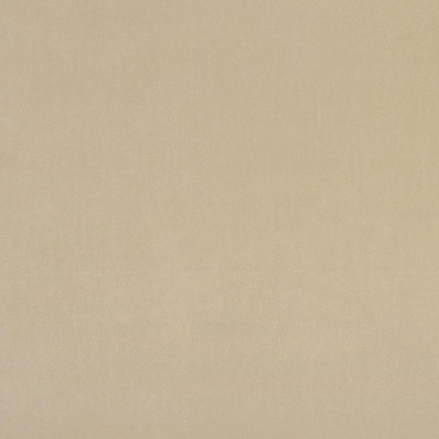 Clarke & Clarke ALVAR FLAXEN Upholstery Fabric