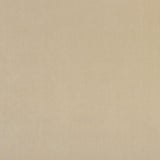 Clarke & Clarke ALVAR FLAXEN Upholstery Fabric