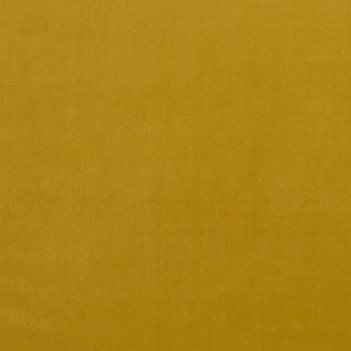 Clarke & Clarke ALVAR HONEY Upholstery Fabric