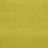 Clarke & Clarke ALVAR LIME Upholstery Fabric