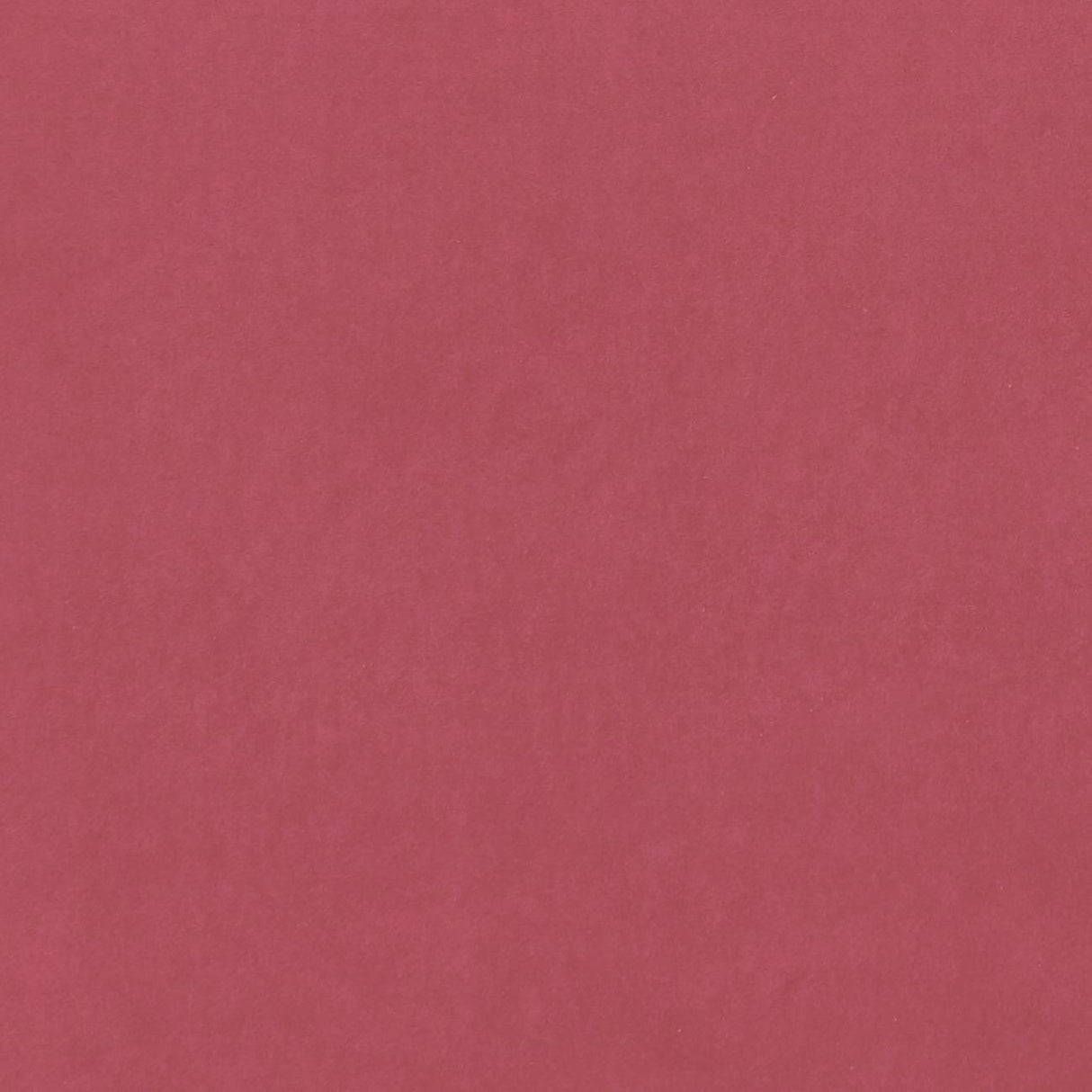 Clarke & Clarke ALVAR PEONY Upholstery Fabric