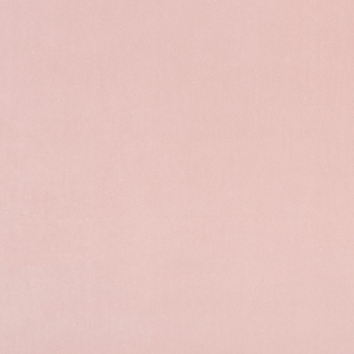 Clarke & Clarke ALVAR PETAL Upholstery Fabric