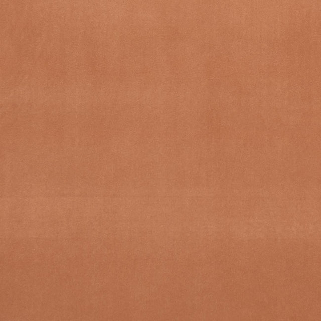 Clarke & Clarke ALVAR TAMARIND Upholstery Fabric