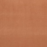 Clarke & Clarke ALVAR TAMARIND Upholstery Fabric
