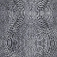Clarke & Clarke LUSTER CHARCOAL Fabric