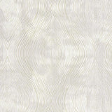 Clarke & Clarke LUSTER IVORY Fabric