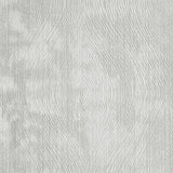 Clarke & Clarke LUSTER SILVER Fabric